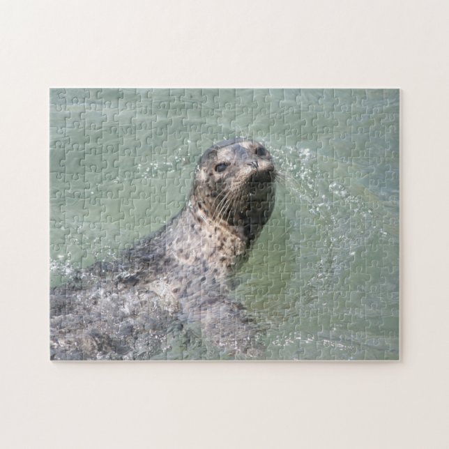 Swimming Seal Pussel (Horisontell)