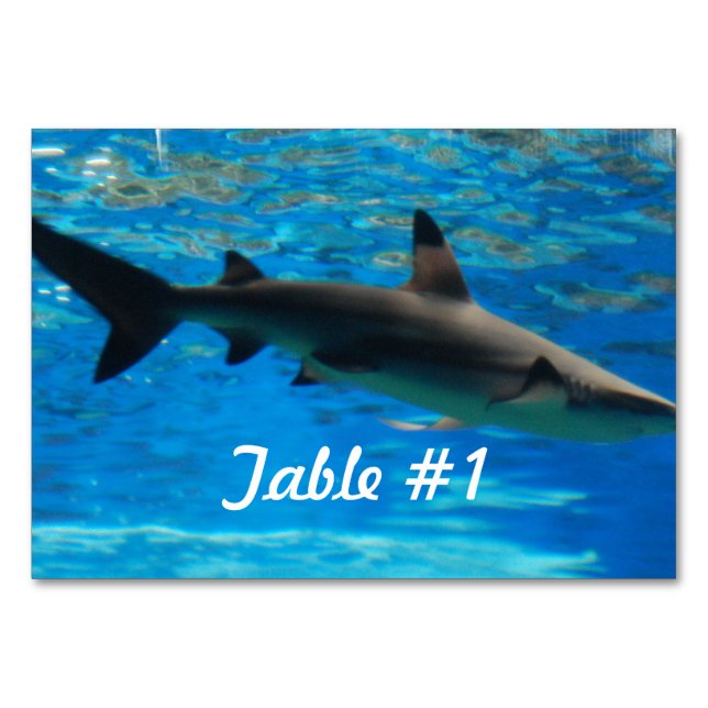 Swimming Shark Bordsnummer (Framsidan)
