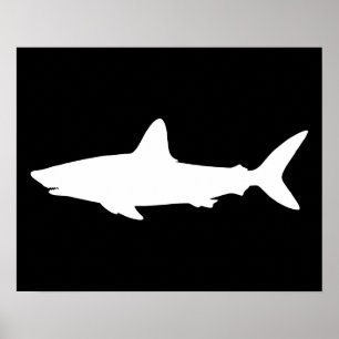 Swimming Shark Poster