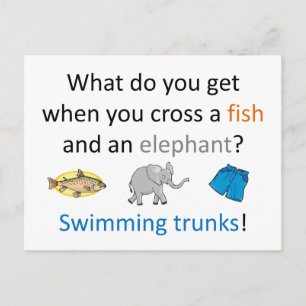 Swimming Trunks Joke Vykort