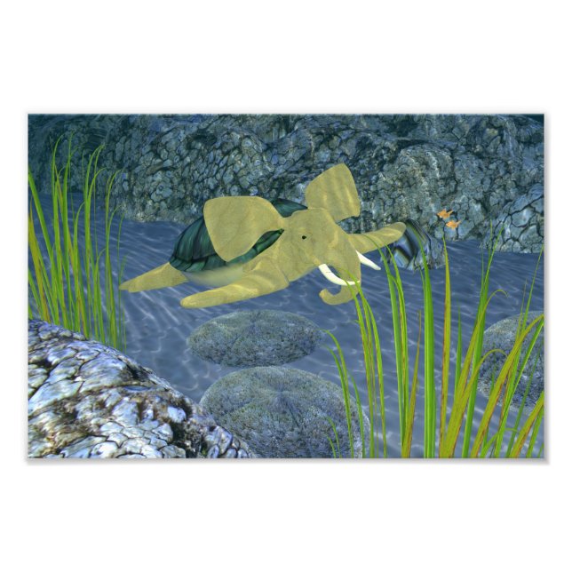 Swimming Turphant Fototryck (Framsidan)