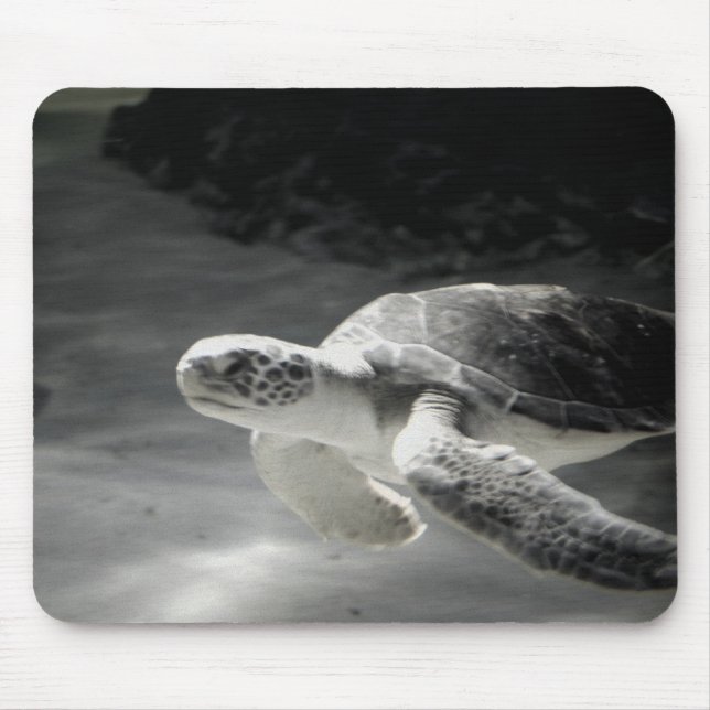 Swimming Turtle Musmatta (Framsidan)