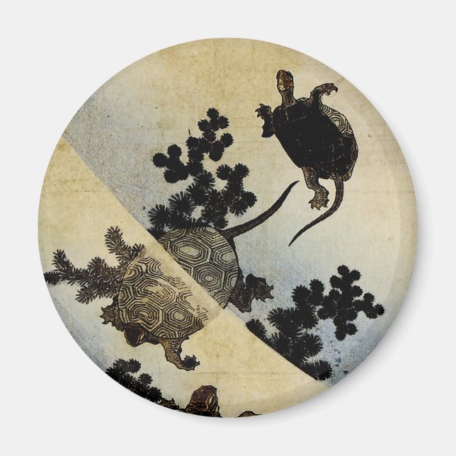 Swimming Turtles Magnet (Framsidan)