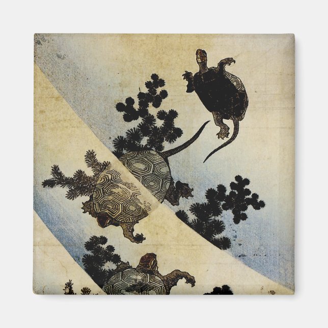 Swimming Turtles Magnet (Framsidan)