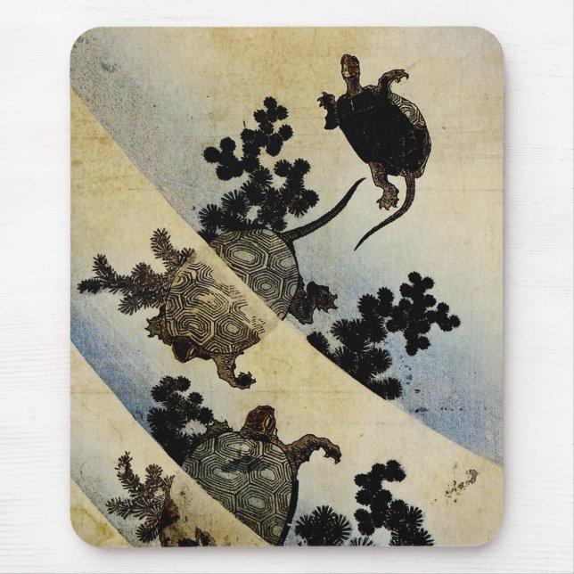 Swimming Turtles Musmatta (Framsidan)