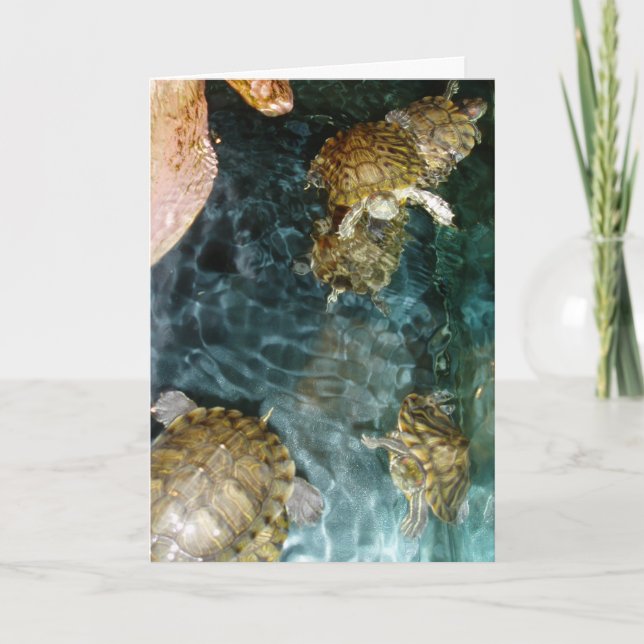 "Swimming Turtles" - tackkort Kort (Framsida)