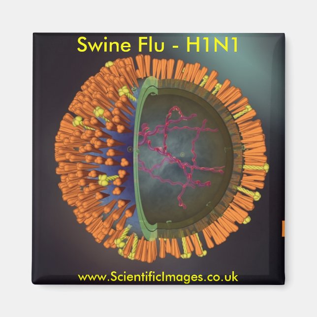 Swine Flu Magnet (Framsidan)