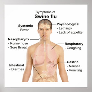 Swine Flu Poster