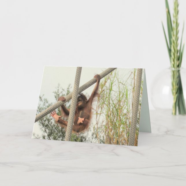 Swinging Baby Orangutan Birthday Card Kort (Framsida)