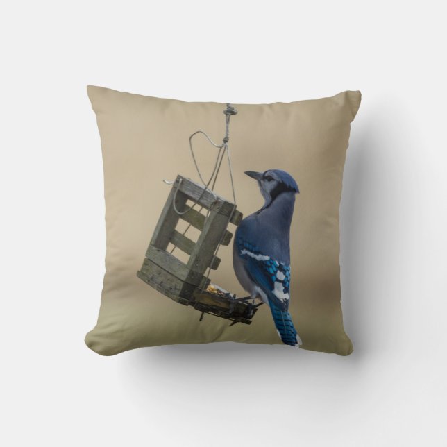 Swinging Blue Jay Kudde (Framsida)