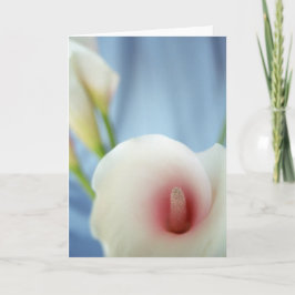 Swirl Lily Flower Greeting Card Kort