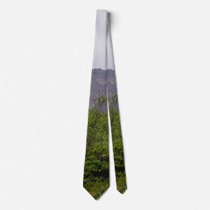 Swirled Beauty i Denali Neck Tie Slips