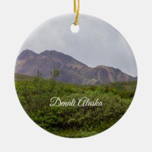 Swirled Beauty i Denali Ornament Souvenir