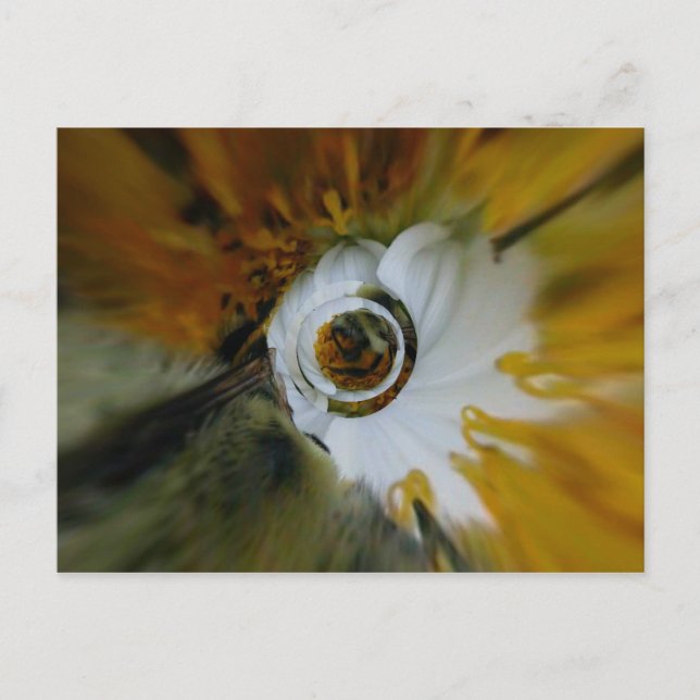 Swirled beez vykort (Framsida)