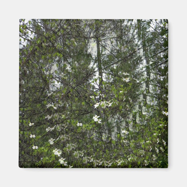 Swirling Dogwood... Magnet (Framsidan)