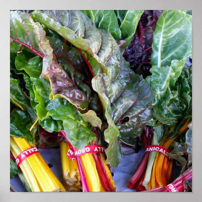 Swiss Chard Poster (Framsidan)