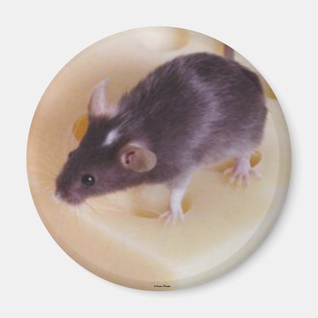 Swiss Cheese Mouse Magnet (Framsidan)