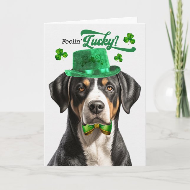 Swiss Mountain Hund Feelin' Lucky St patrick's day Helgkort (Framsida)