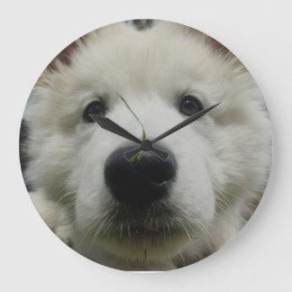Swiss Shepherd Hund Wall Clock - Fullt Hund Stor Klocka