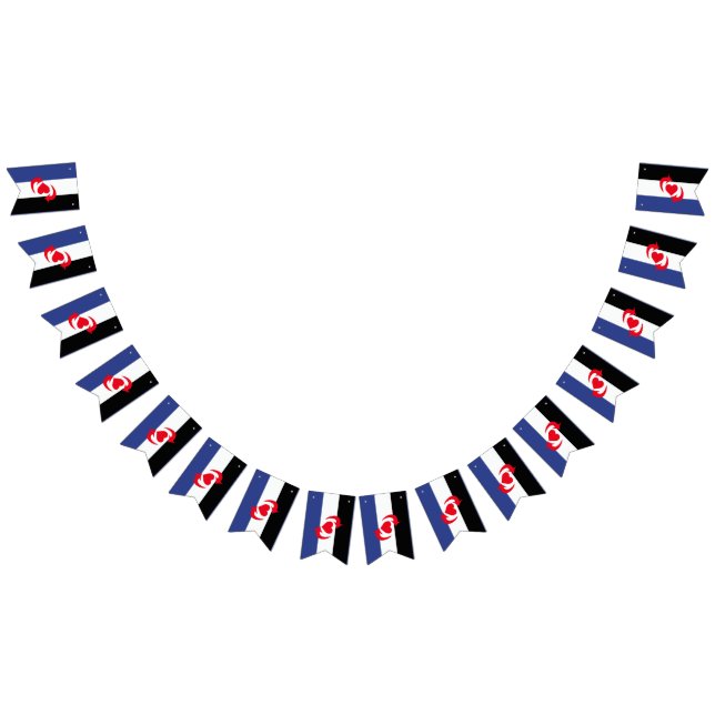 Switch Pride Flagga (Alla)