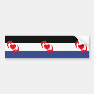Switch Pride Flagga Bildekal