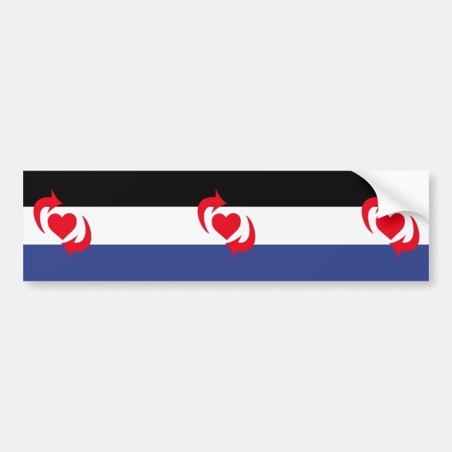 Switch Pride Flagga Bildekal (Framsidan)
