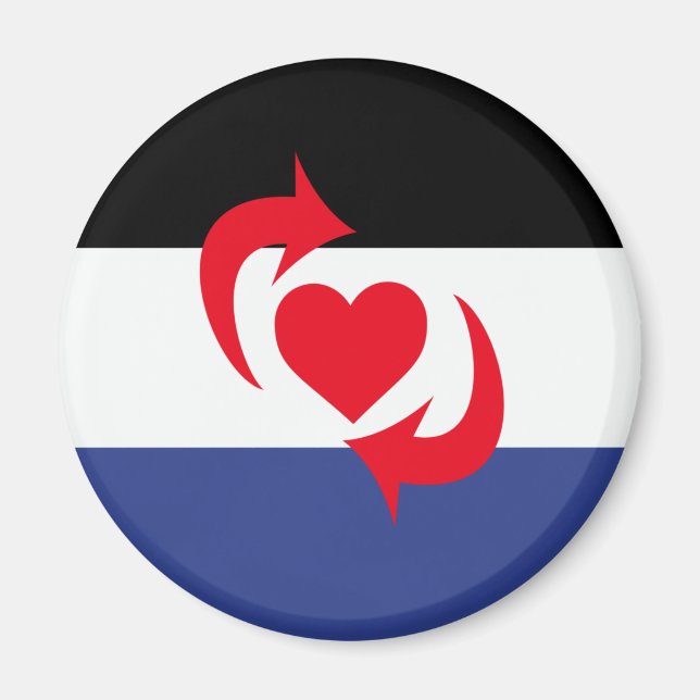 Switch Pride Flagga Magnet (Framsidan)