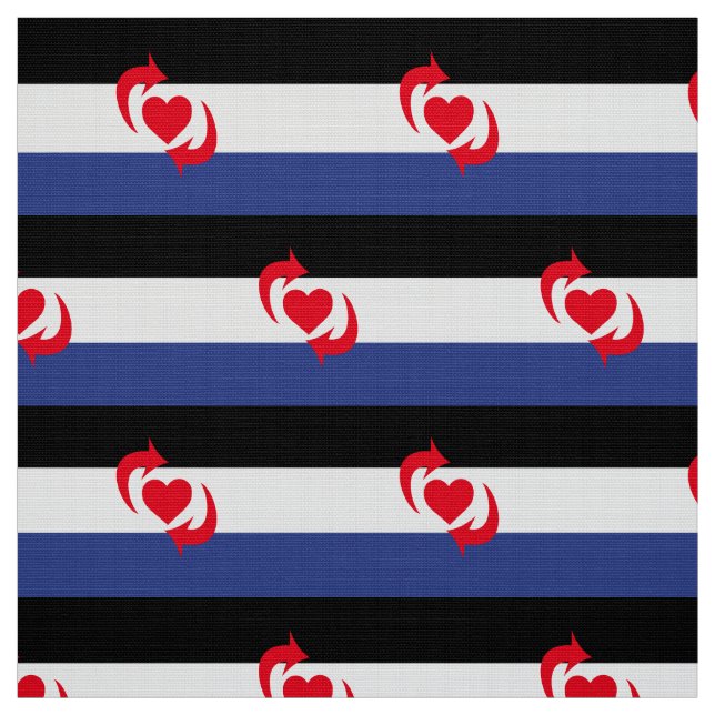 Switch Pride Flagga Tyg (Provkarta)