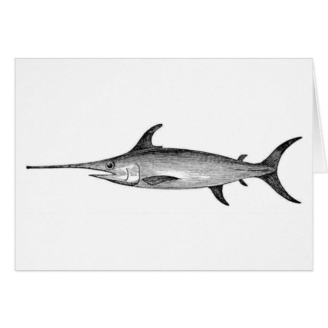 Swordfish card, den vetenskapliga illustrationen hälsningskort (Framsidan Horizontal)
