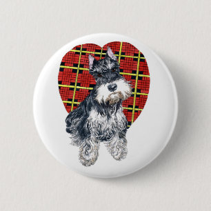 Sybil som schnauzeren knäppas knapp