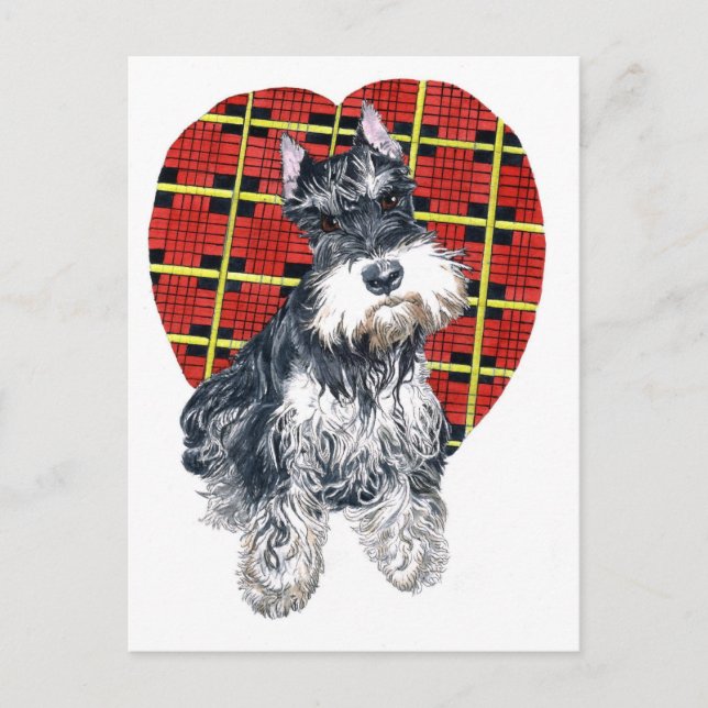 Sybil the Schnauzer Postcard Vykort (Framsida)