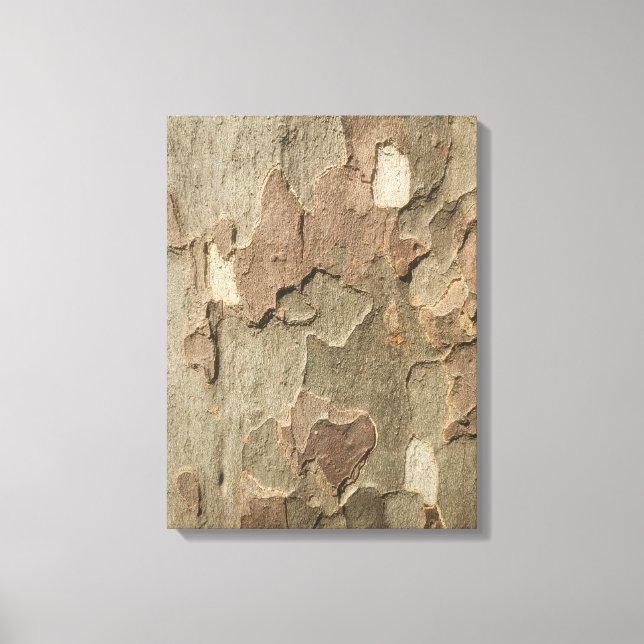 Sycamore Bark Stretched Canvas Art (Framsida)