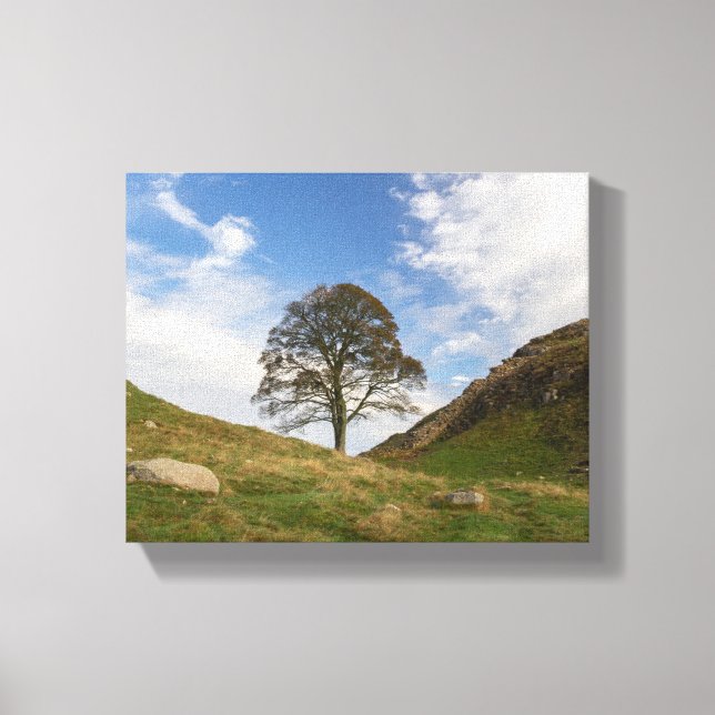 Sycamore Gap på hösten Canvastryck (Framsida)