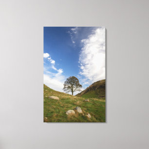 Sycamore Gap Sträckt Canvastryck