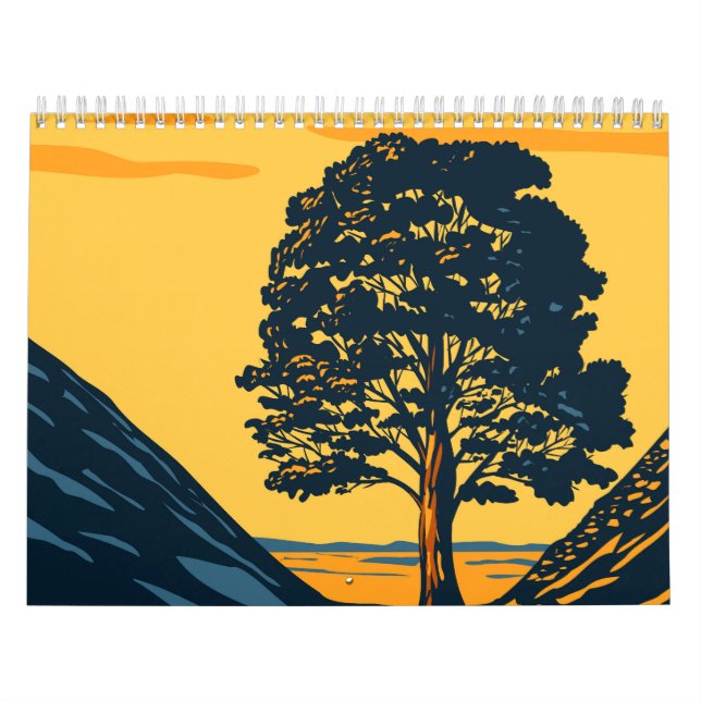 Sycamore Gap träd Kalender (Omslag)