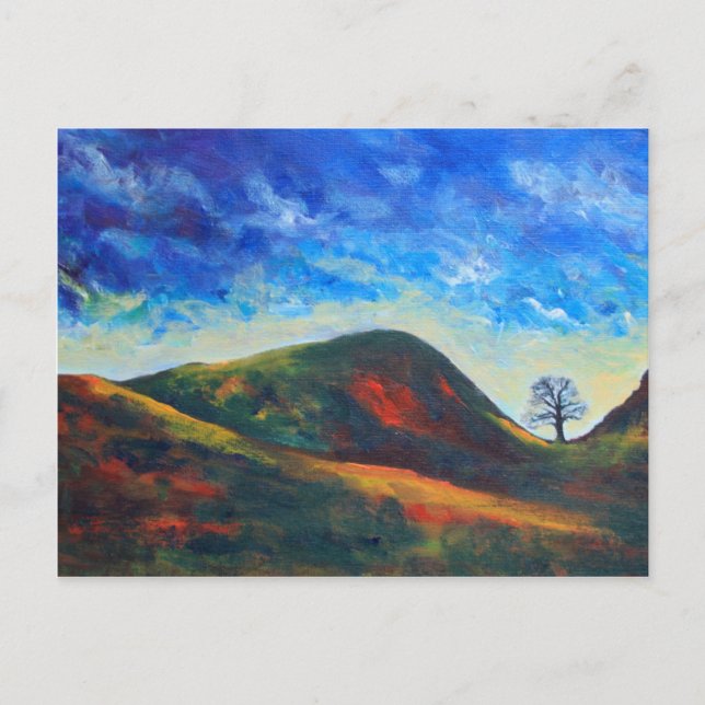 Sycamore Gap Vykort (Framsida)
