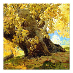 Sycamore i höst av Edgar Payne Fototryck