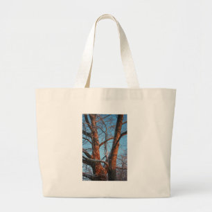 Sycamore Sunrise Jumbo Tygkasse