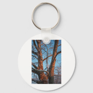 Sycamore Sunrise Nyckelring