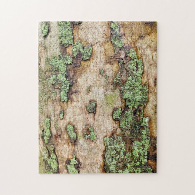 Sycamore Träd Bark Moss Lichen Pussel (Vertikal)