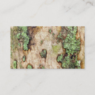 Sycamore Träd Bark Moss Lichen Visitkort