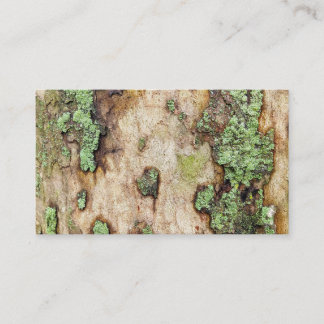 Sycamore Träd Bark Moss Lichen Visitkort