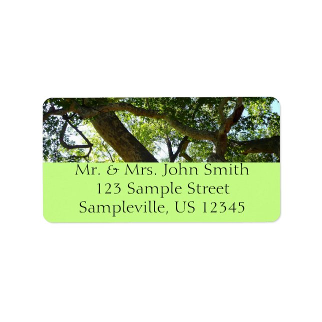 Sycamore Träd Grönt Natature Adressetikett (Framsidan)