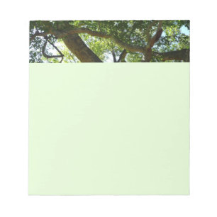 Sycamore Träd Grönt Natature Anteckningsblock