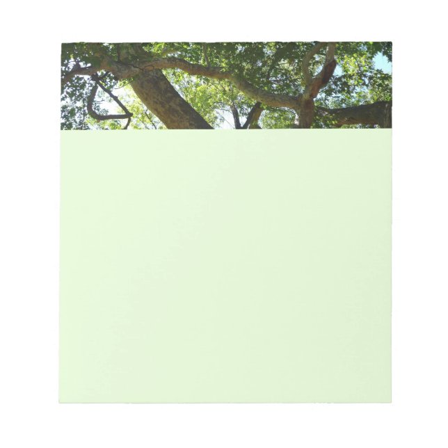 Sycamore Träd Grönt Natature Anteckningsblock (Framsida)