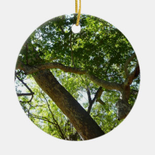 Sycamore Träd Grönt Natature Julgransprydnad Keramik