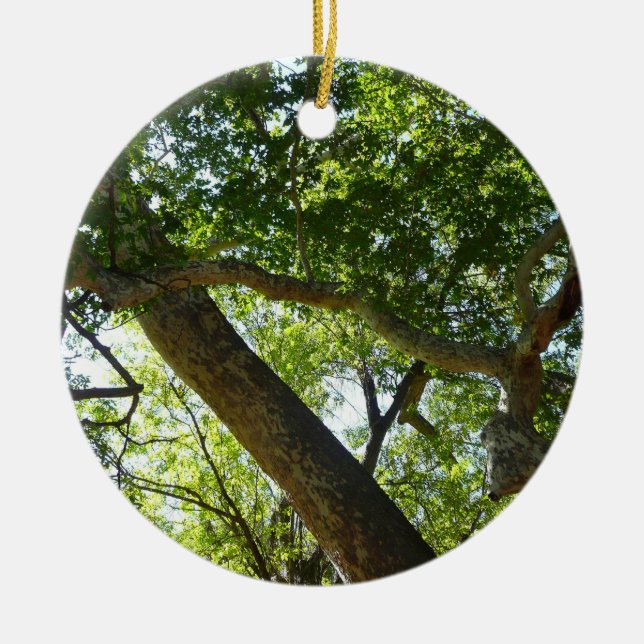 Sycamore Träd Grönt Natature Julgransprydnad Keramik (Framsidan)