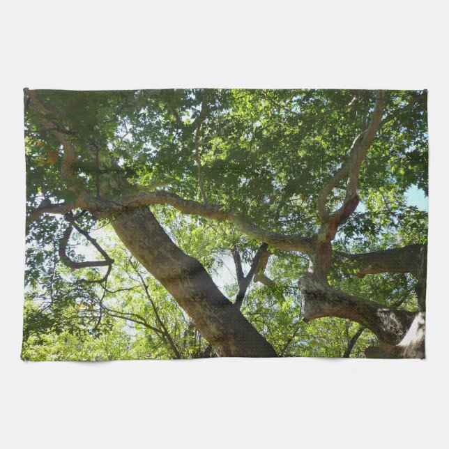 Sycamore Träd Grönt Natature Kökshandduk (Horisontell)