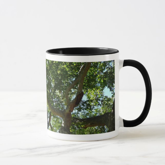Sycamore Träd Grönt Natature Mugg (Höger)