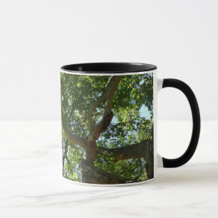 Sycamore Träd Grönt Natature Mugg